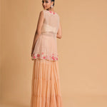 product_palaash_4.2